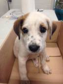 13467789_10154040823445935_1842700469_o-1