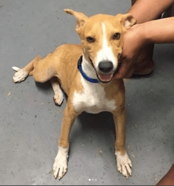 Screen Shot 2018-05-18 at 5.42.16 PM