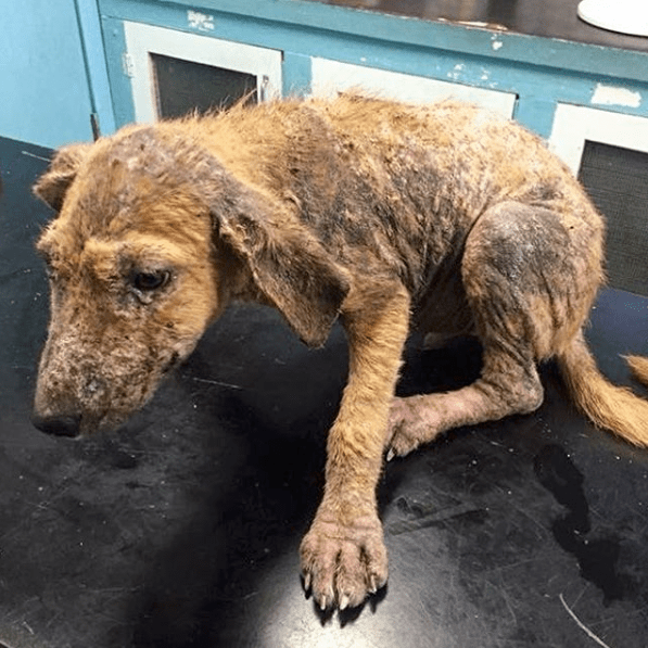 Screen Shot 2018-07-02 at 10.01.03 PM