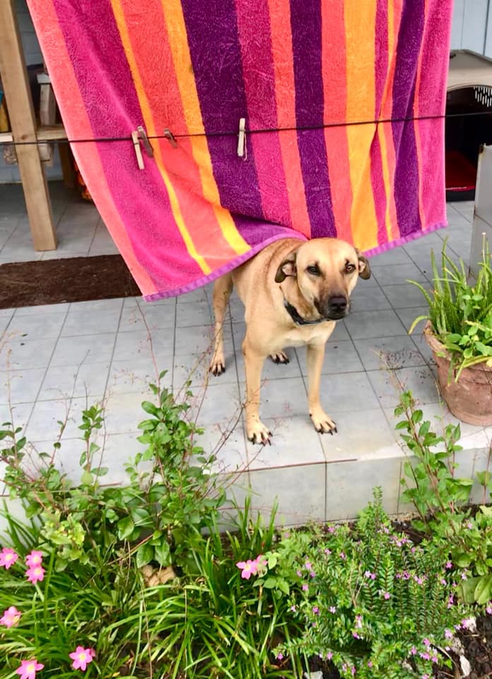 61079782_1381876288644105_8349875095866441728_n